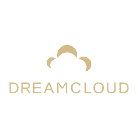 DreamCloud最佳休息枕