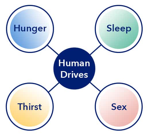什么是人类的睡眠驱动力