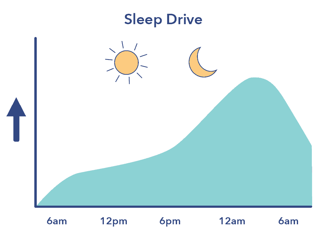 所以是sleeppedu sleepprestriction SleepDrive
