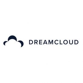 DreamCloud轮廓枕头